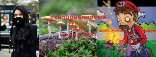 ешки Аркадак
