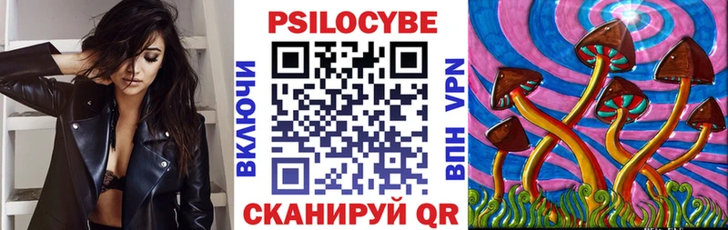 Галлюциногенные грибы Psilocybine cubensis  Ржев 